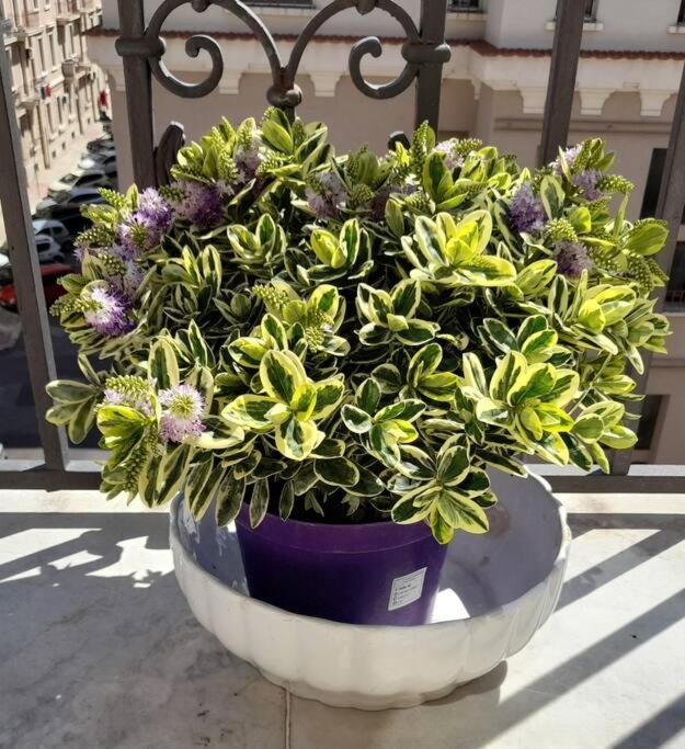 Casa Jole, Appartamento In Centro Bari Ngoại thất bức ảnh